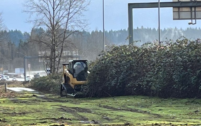 Brush Cutting Services: A bulldozer is cutting down bushes in a field.