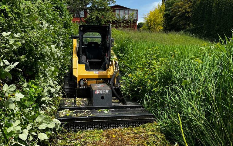 A small skid steer is parked in a grassy area.