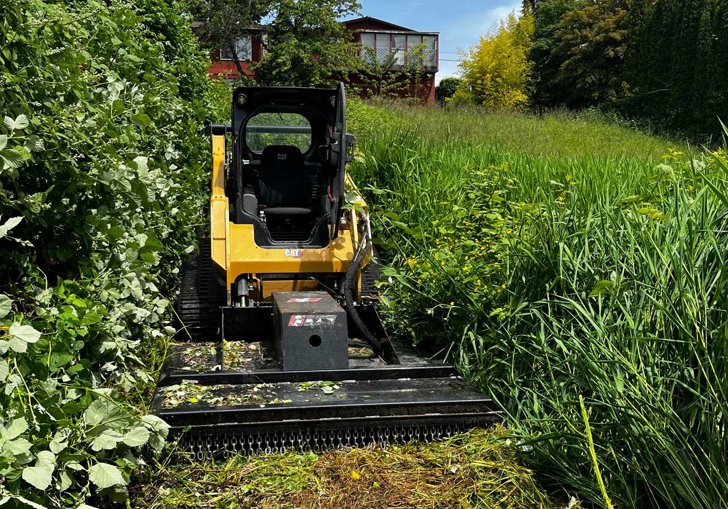 A small skid steer is parked in a grassy area.